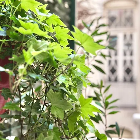 #nephele & Morpheus By Halu!